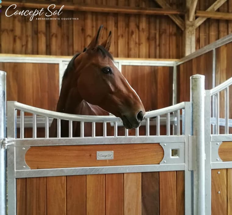 construction-ecurie-complete-concept-sol-02